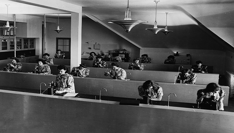 Gonzaga students in biology lab