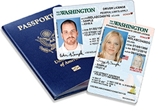 Examples of valid government IDs
