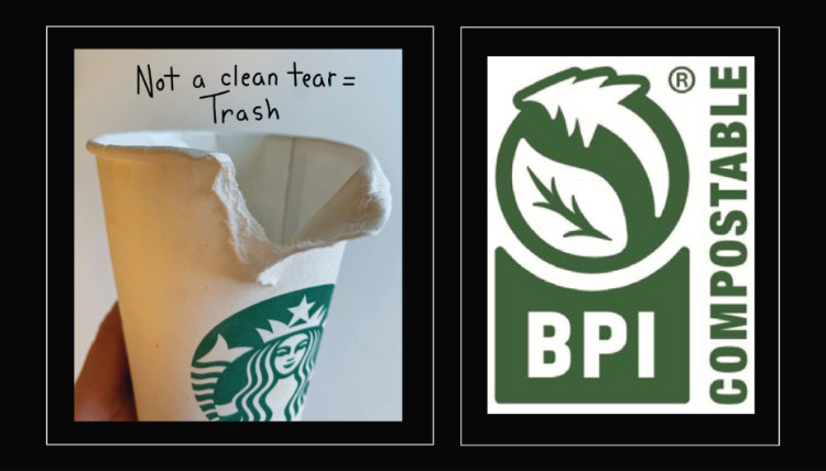 sustainability cup diagram and bpi