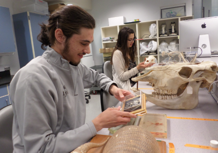 students studying fossils