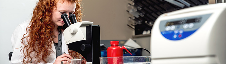 Student looks through a microscope in a lab.