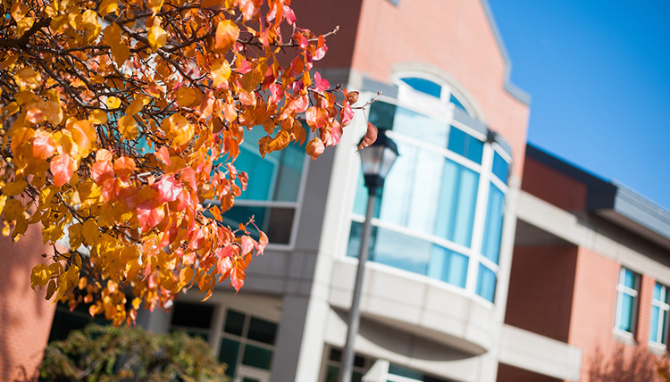 An image of the Rosauer Center building on a sunny fall day