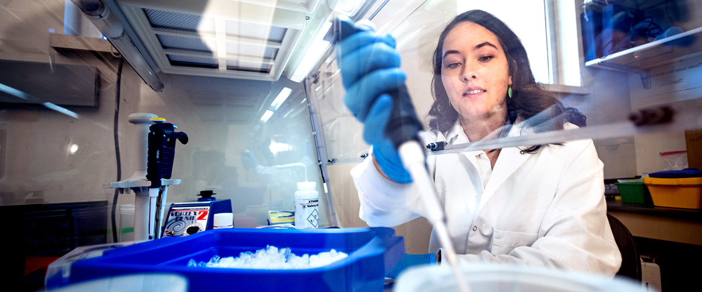Undergraduate student conducts lab experiment.