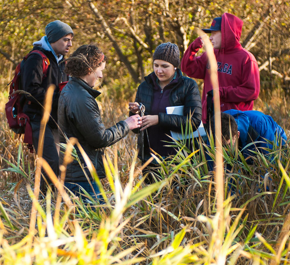 Students doing stream restoration