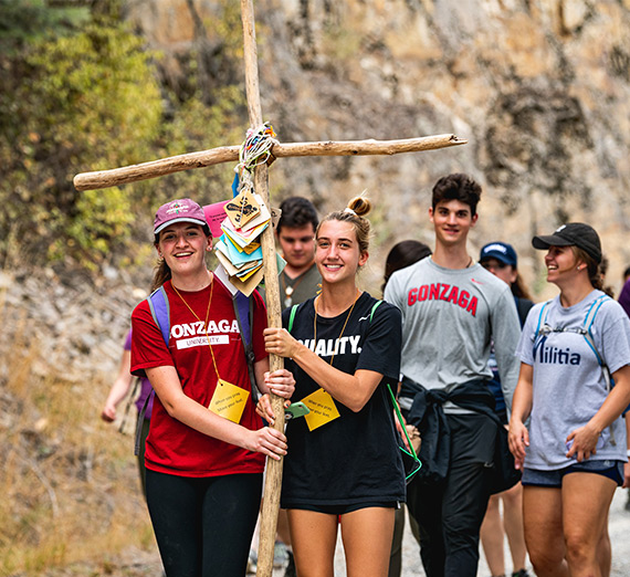 aerial image of river and trees