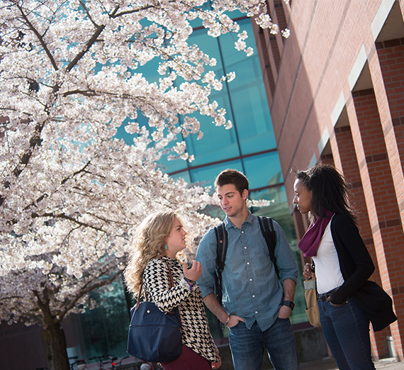Comprehensive Leadership Program students talking outside of Foley Library
