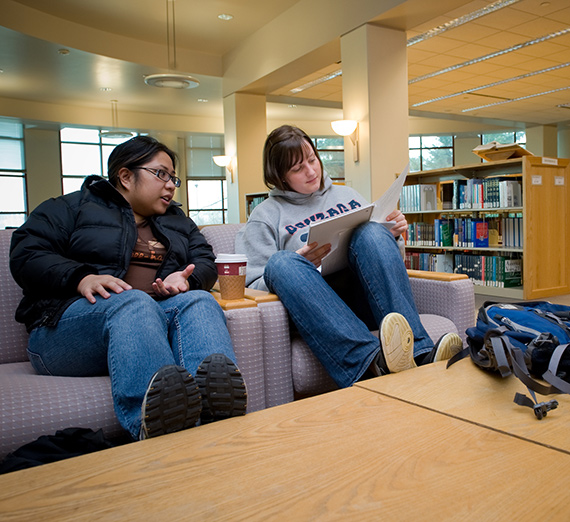Students study together in Foley Library