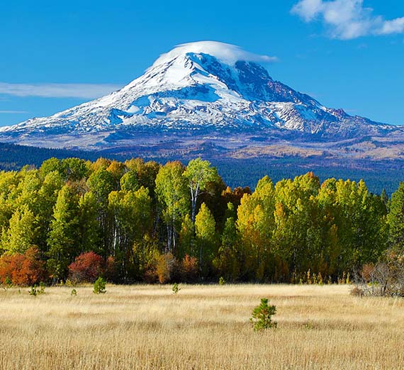 Mt Adams Scenic View