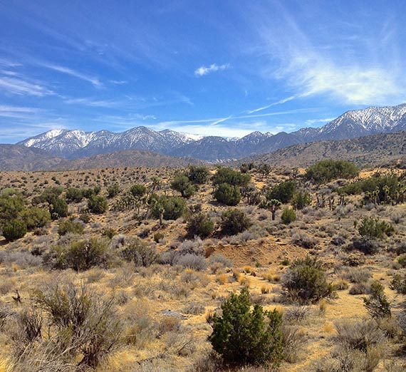The High Desert Near St. Andrew’s Abbey, Valyermo, California