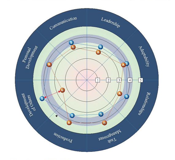 Circular graph showing the leadership assessment categories