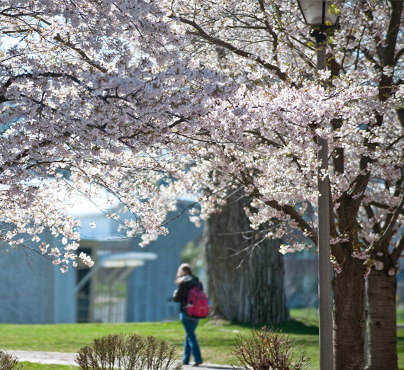Gonzaga student walking through campus.