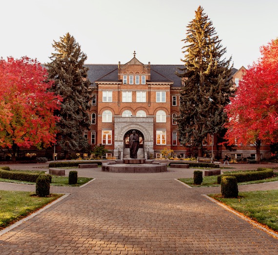 Circular graph showing the leadership assessment categories