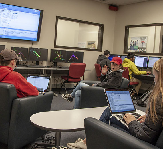 students collaborate in lab