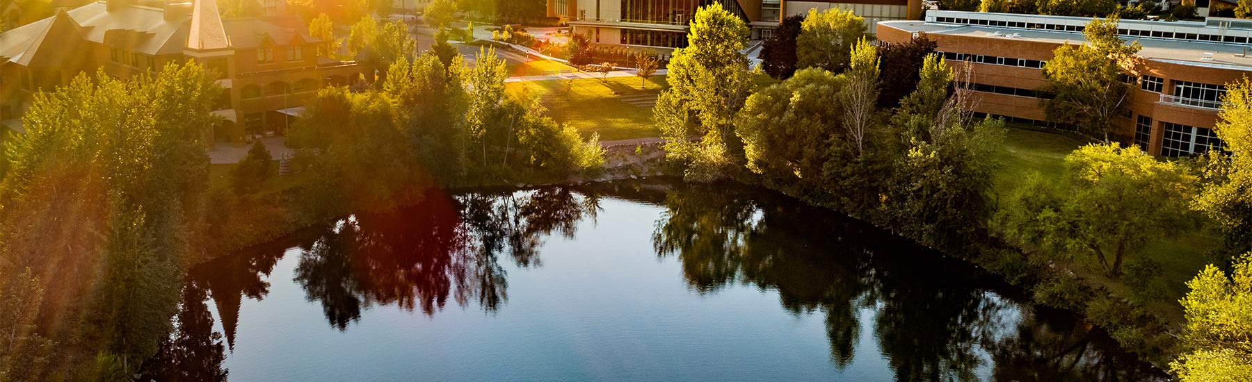 aerial photo of lake and trees