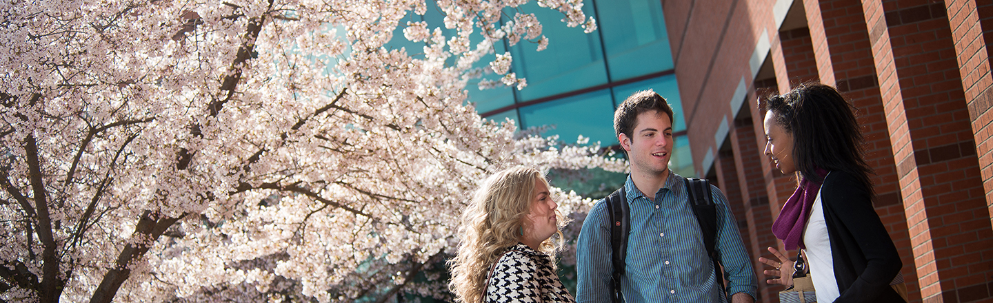 3 students in discussion near a tree in front of the Foley Library on campus.