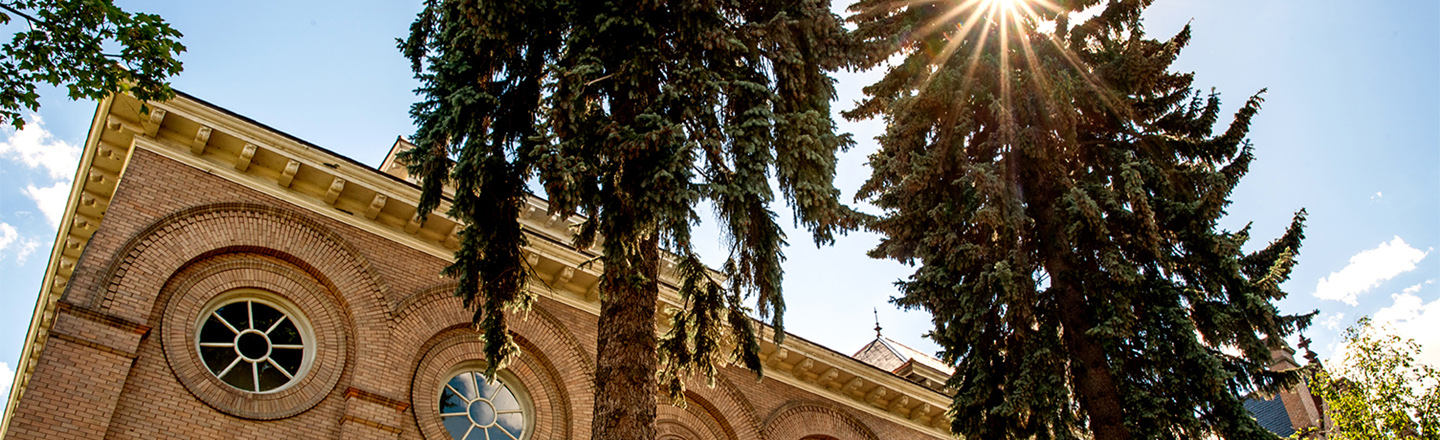 Gonzaga's College Hall in Sunlight