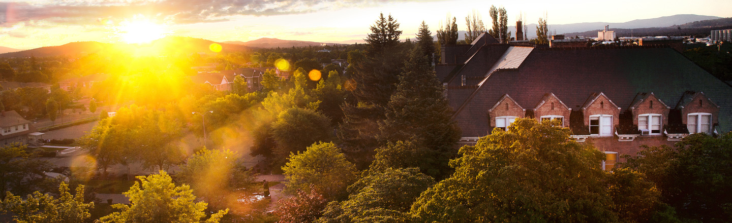 sun rising over campus trees and roof