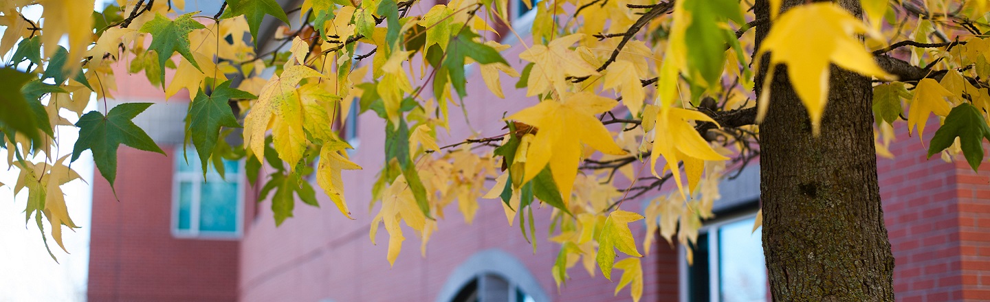 The Rosauer Center for Education Building