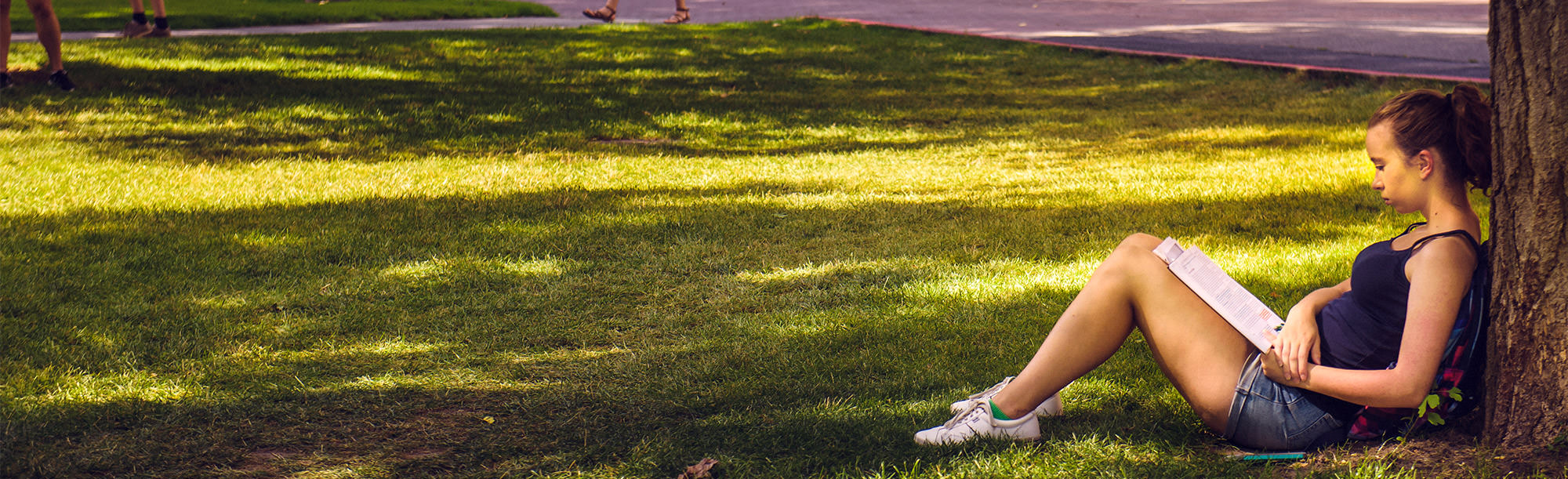 student studying outside