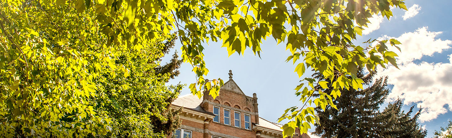 College Hall through the trees with sunlight