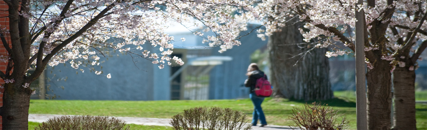 Gonzaga student walking through campus.