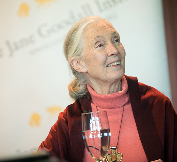 Jane Goodall
