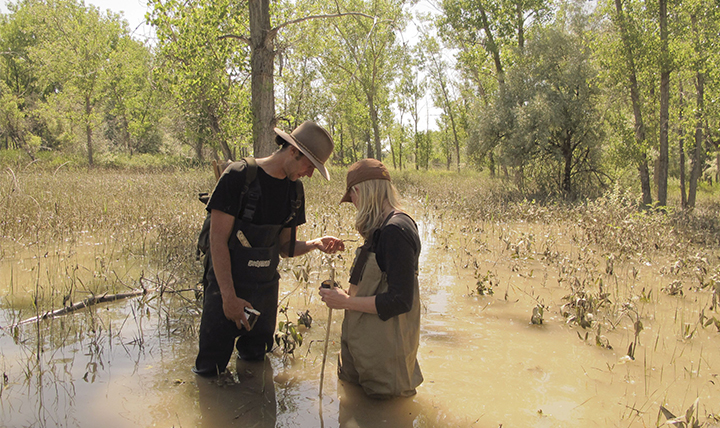 Alexis Bonogofsky assesses the damage done by an oil spill in a wetland. 
