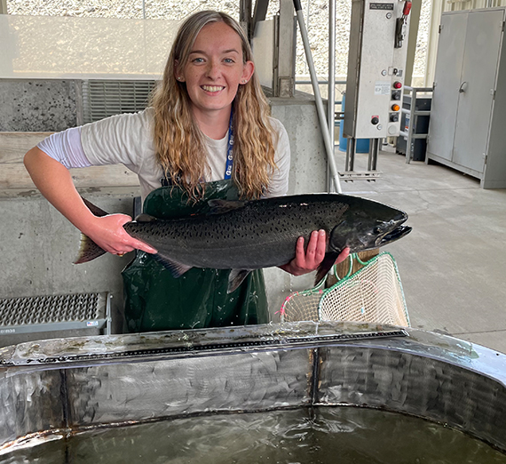 colorful quote bubbles with no text