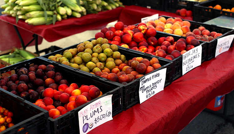 Produce on display at a farmers market, including plums, peaches, and corn.