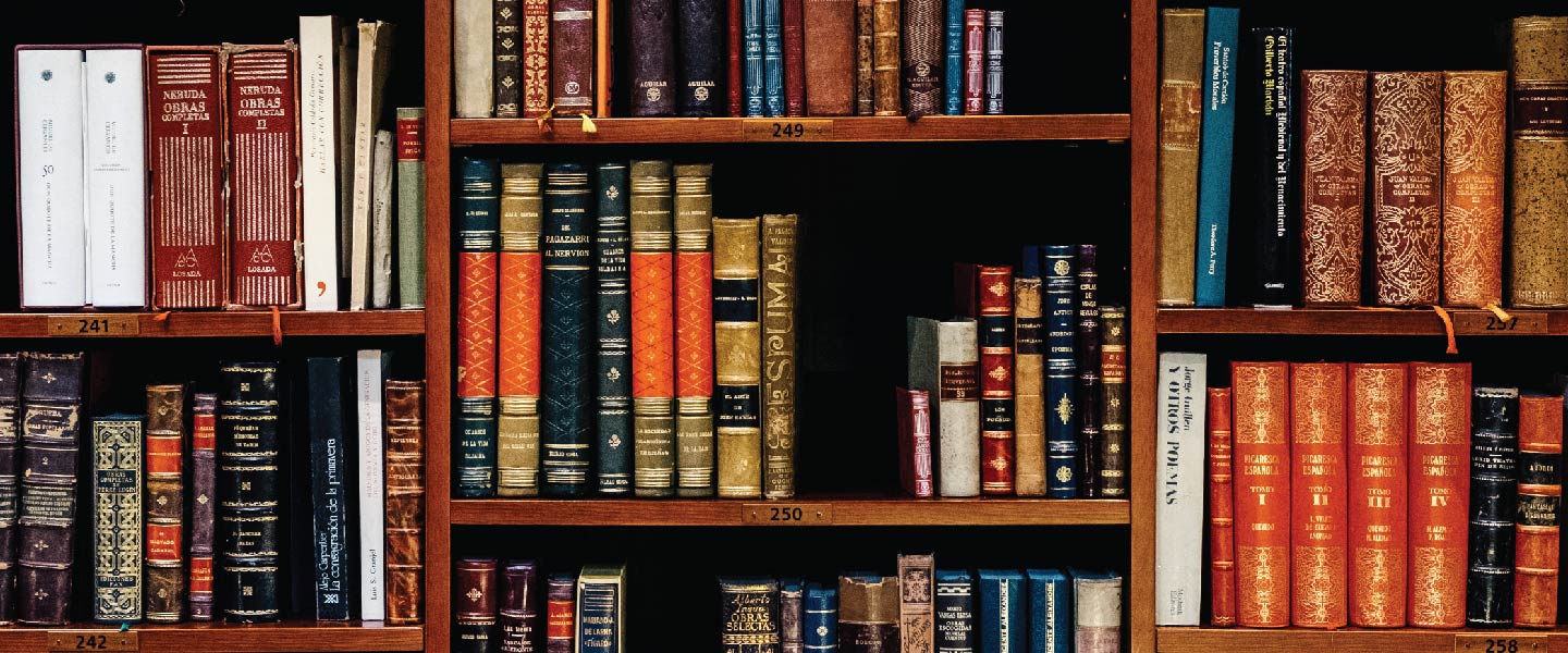 closeup of books on shelves